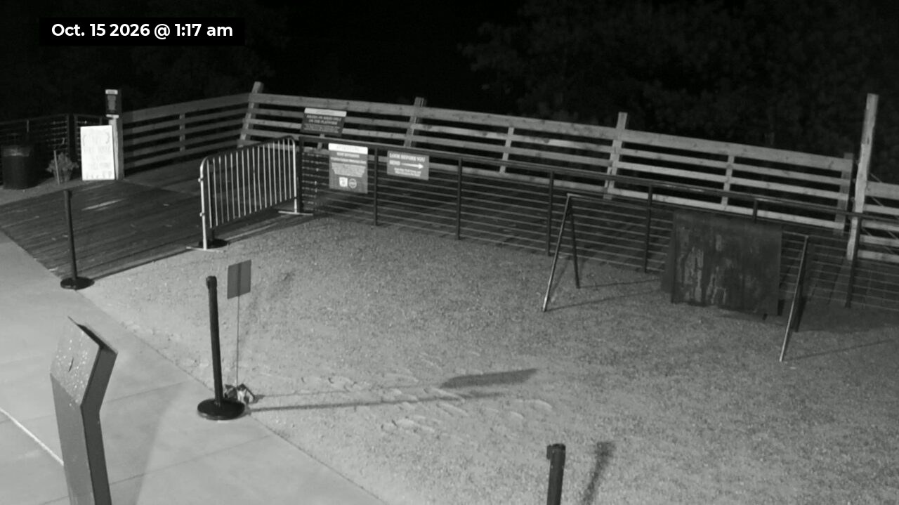 Bike Launch webcam