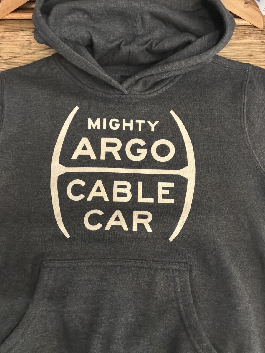 Youth Gray Hoodie