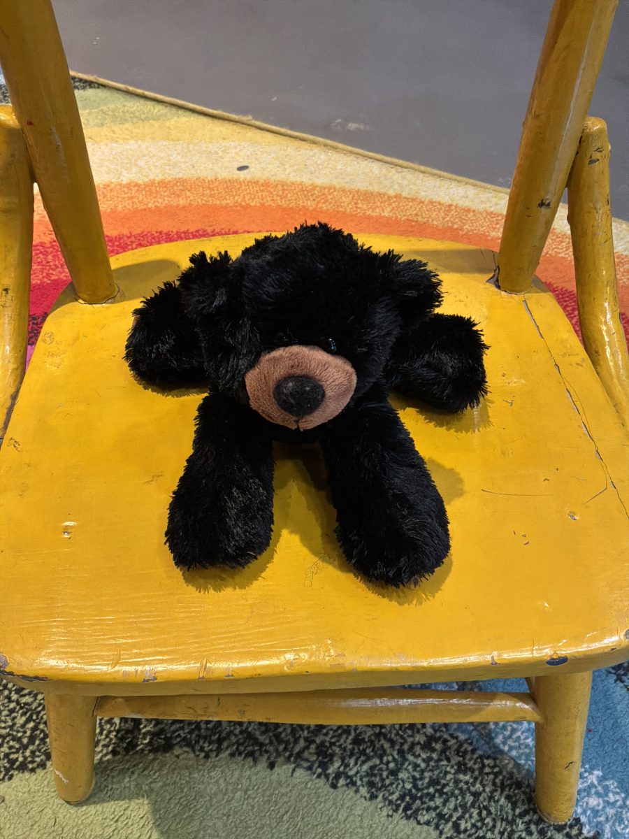 Black Bear Stuffie
