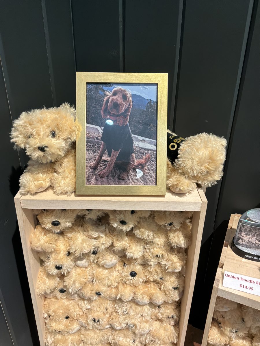 Golden Doodle Stuffie